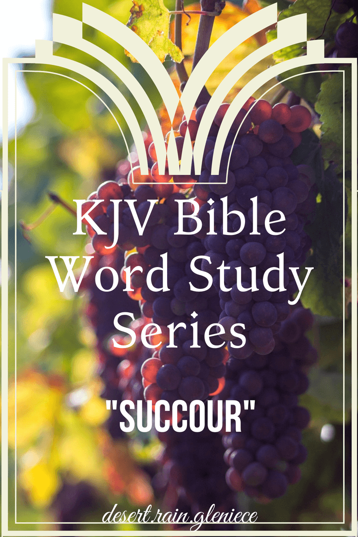 Succour KJV Bible Word Study Series Desert Rain