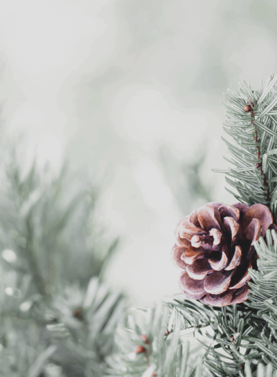 Why I Don’t Keep Christmas