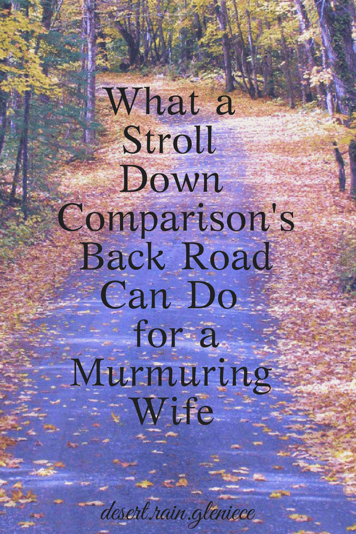 We wives can easily fall into a comparison trap. But when we change our perspective and learn to be thankful, contentment will thrive no matter what. #comparison, #contentment, #godlymarriage, #christianwife