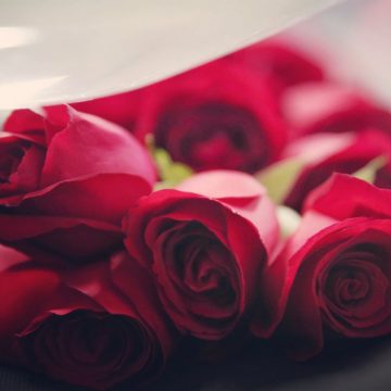 What could be wrong with Valentine's Day sentiments of love for your sweetheart? Learn the true origin of this holiday every Christian should know. #valentinesday, #paganholiday, #seekingtruth