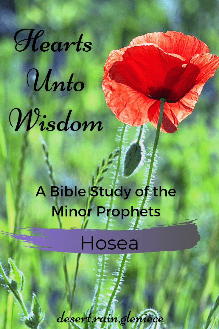 Hosea: Hearts Unto Wisdom Bible Study of the Minor Prophets ~ From adulterous Israel to the chaste bride of Christ, learn the goodness and mercy of God to those who repent in the book of Hosea. #hosea, #kjvbible, #biblestudyforwomen, #Christ, #seekingtruth,