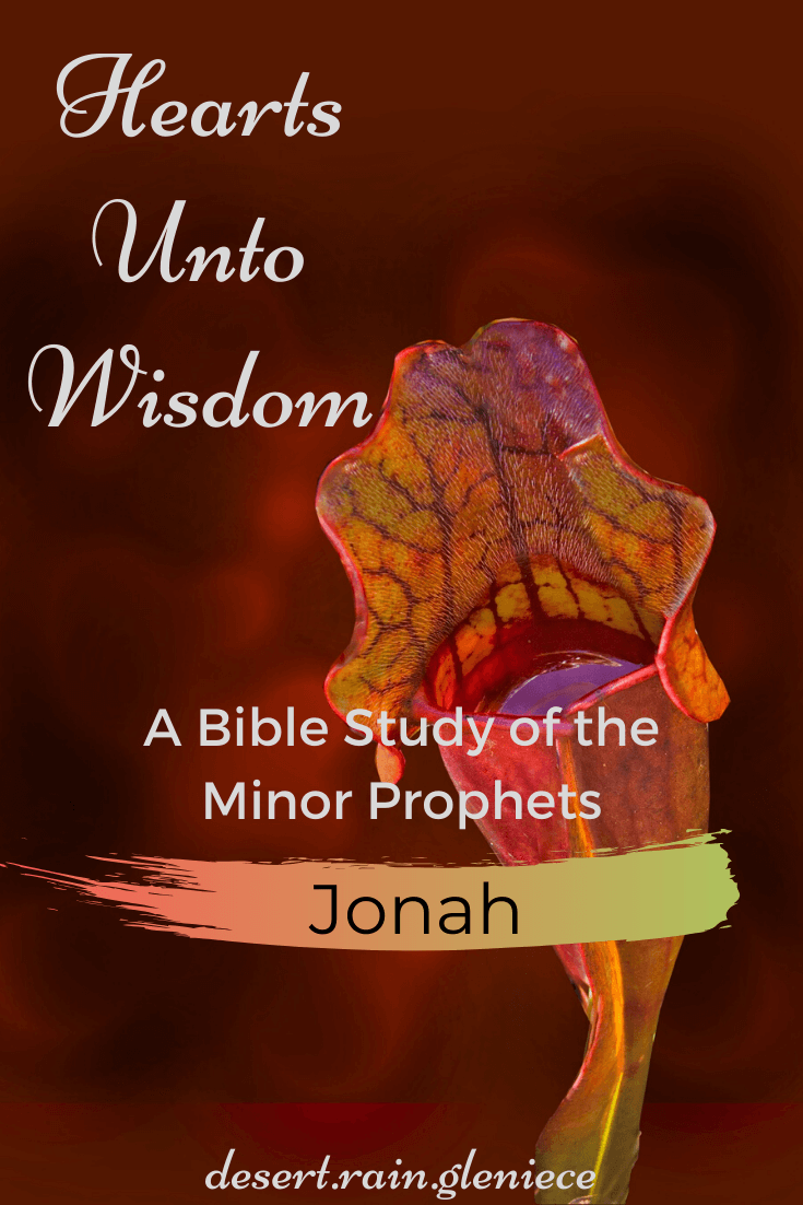 The book of Jonah is a magnificent parallel of God’s love and redemption to a multitude of sorrowful people as well as lessons taught to a man who sorrowed for all the wrong reasons. #jonah, #minorprophets, #biblestudyforwomen, #kjvbible