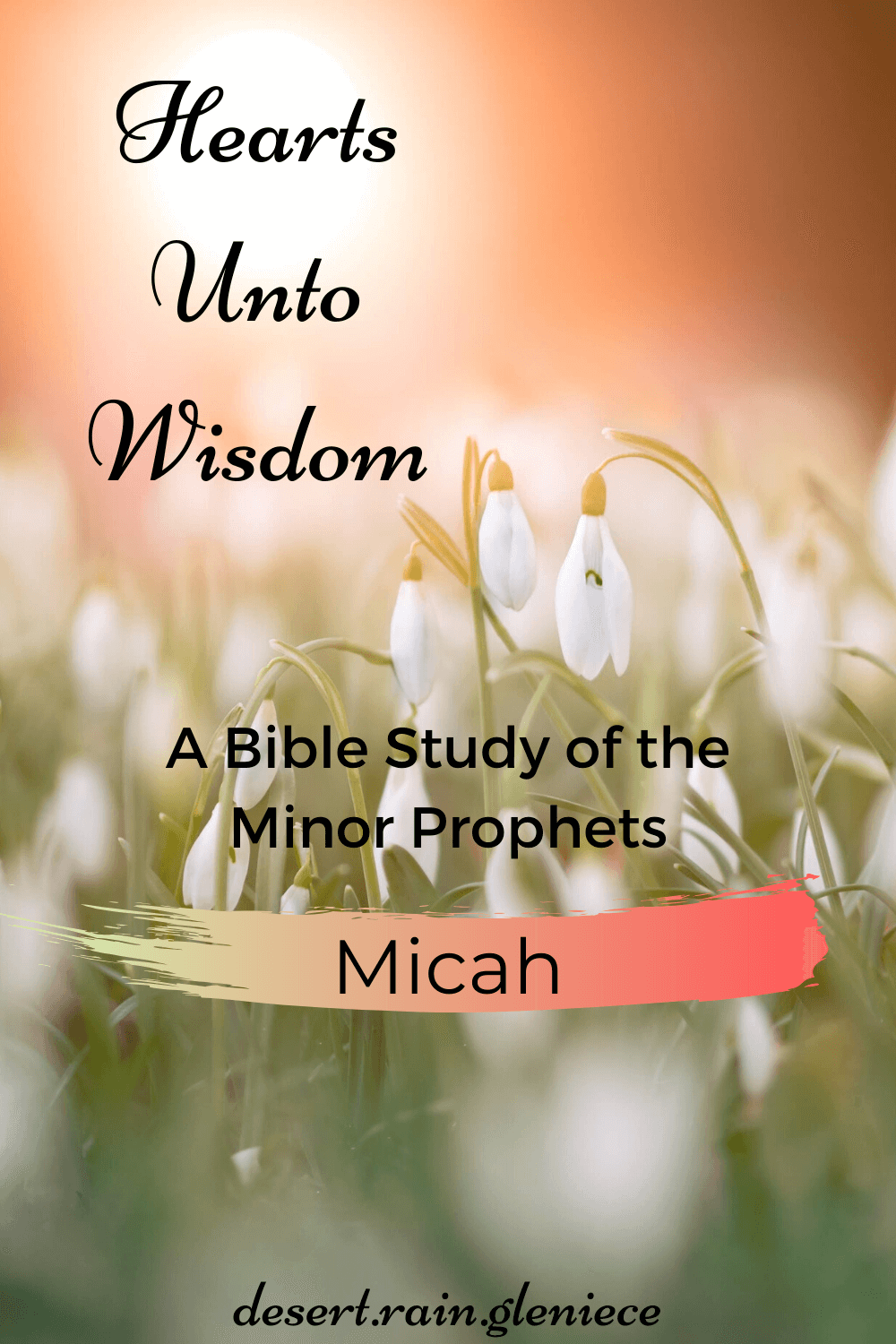 The prophet Micah knew it wasn't mere religious rituals and rote obedience that would please God but those who do these three simple things. #micah, #biblestudyforwomen, #minorprophets, #kjvbible