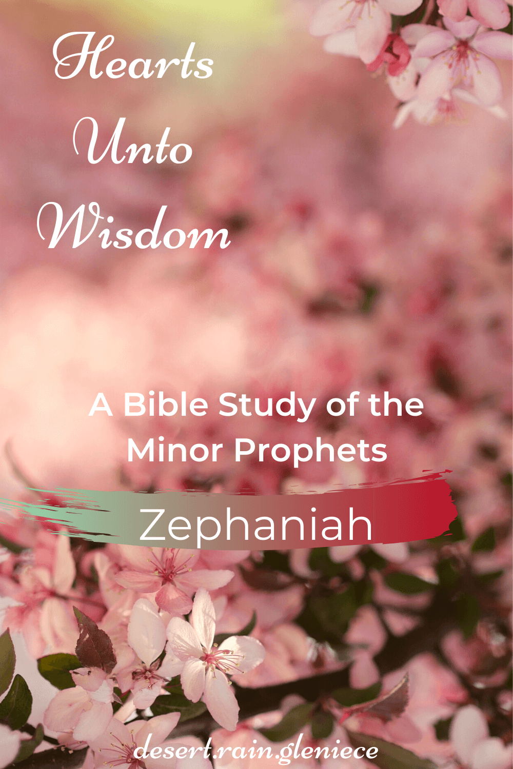 God wants single-minded children, not prideful, half-hearted ones. When we choose God wholeheartedly, find out what glorious thing Zephaniah says God will do at His return. #zephaniah, #minorprophets, #pride, #biblestudyforwomen