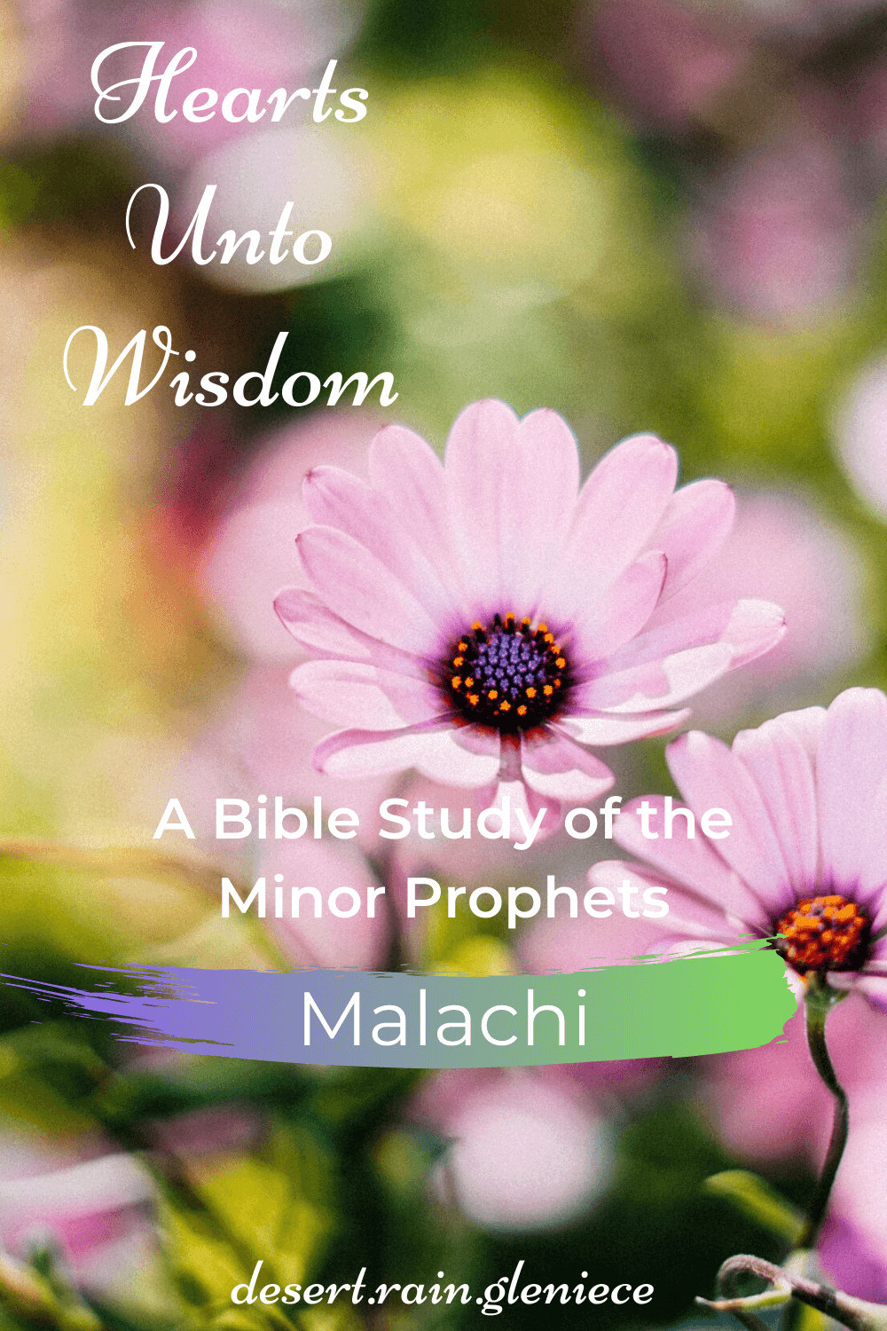 Malachi declares who is written in God's book of life and who will be His jewels that shine at Christ's return. Hint: it has to do with fear. #malachi, #minorprophets, #biblestudyforwomen, #pride,#godlyfear