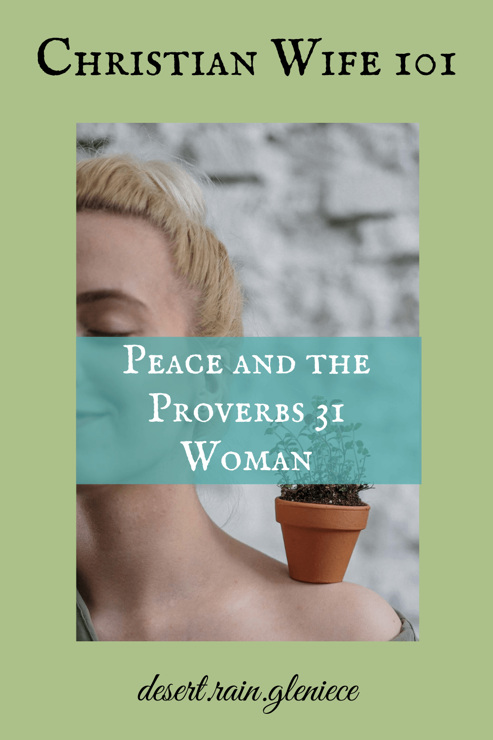 Do you expect peace to bloom in your marriage on its own? Do you work hard like the Proverbs 31 woman but marital peace still eludes you? The phrase "be ye perfect" in the KJV is the key. #proverbs31woman, #godlywife, #peace, #perfect 