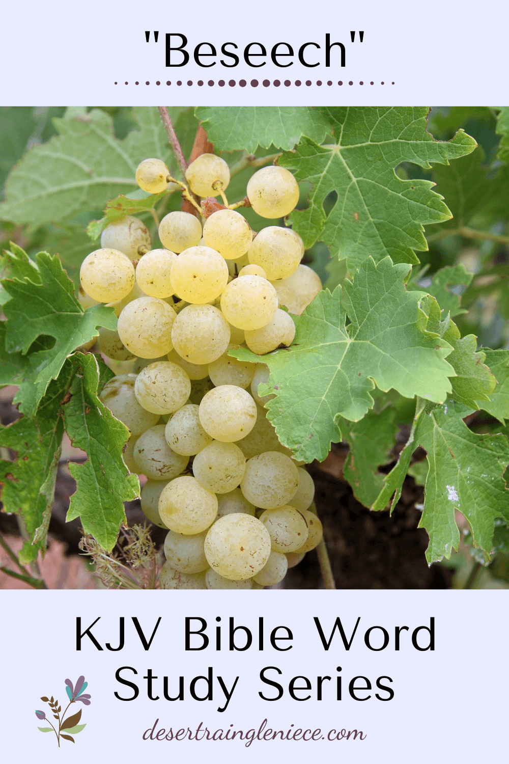 When we beseech, we desire to be heard by both God and man. With man, there's no guarantee our pleas will gain their attention. But God always hear us. #beseech, #kjvbible, #wordstudy, #biblestudyforwomen