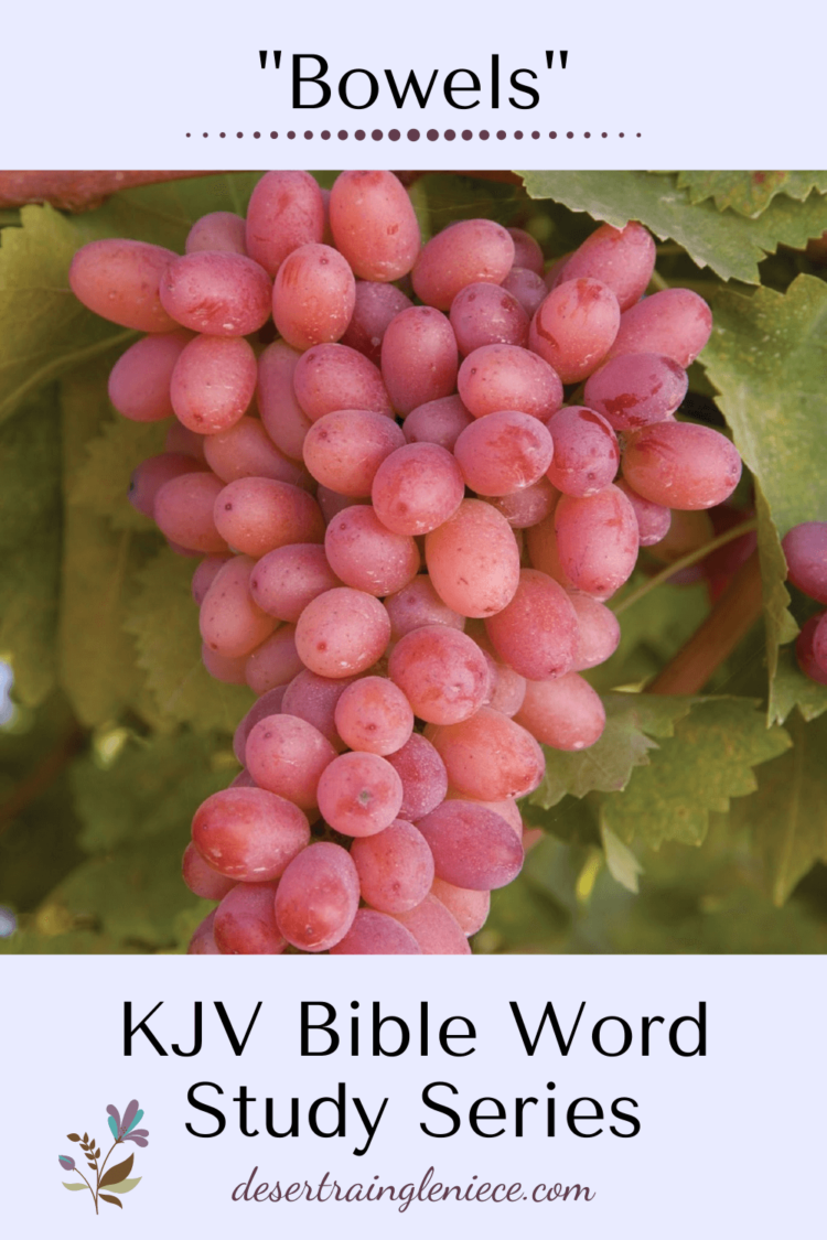 Bowels KJV Bible Word Study Series Desert Rain