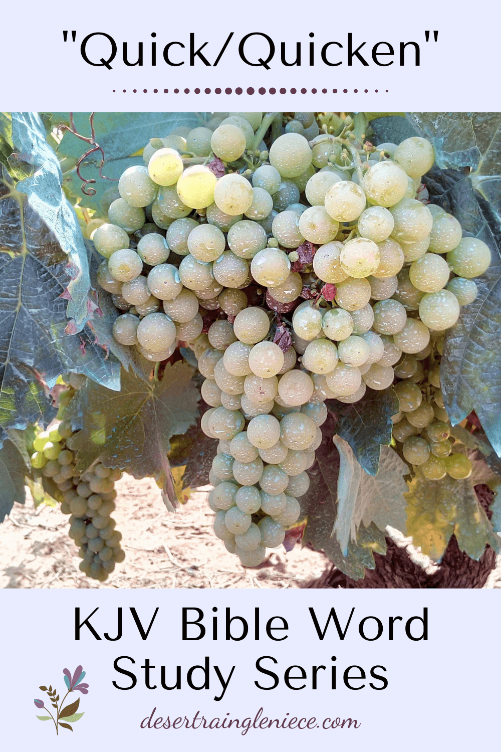 The word "quick" in the KJV Bible has nothing to do with speed. Christ will quicken you one day. Learn what that means in this fascinating study. #quick, #kjvbible, #wordstudy, #biblestudyforwomen