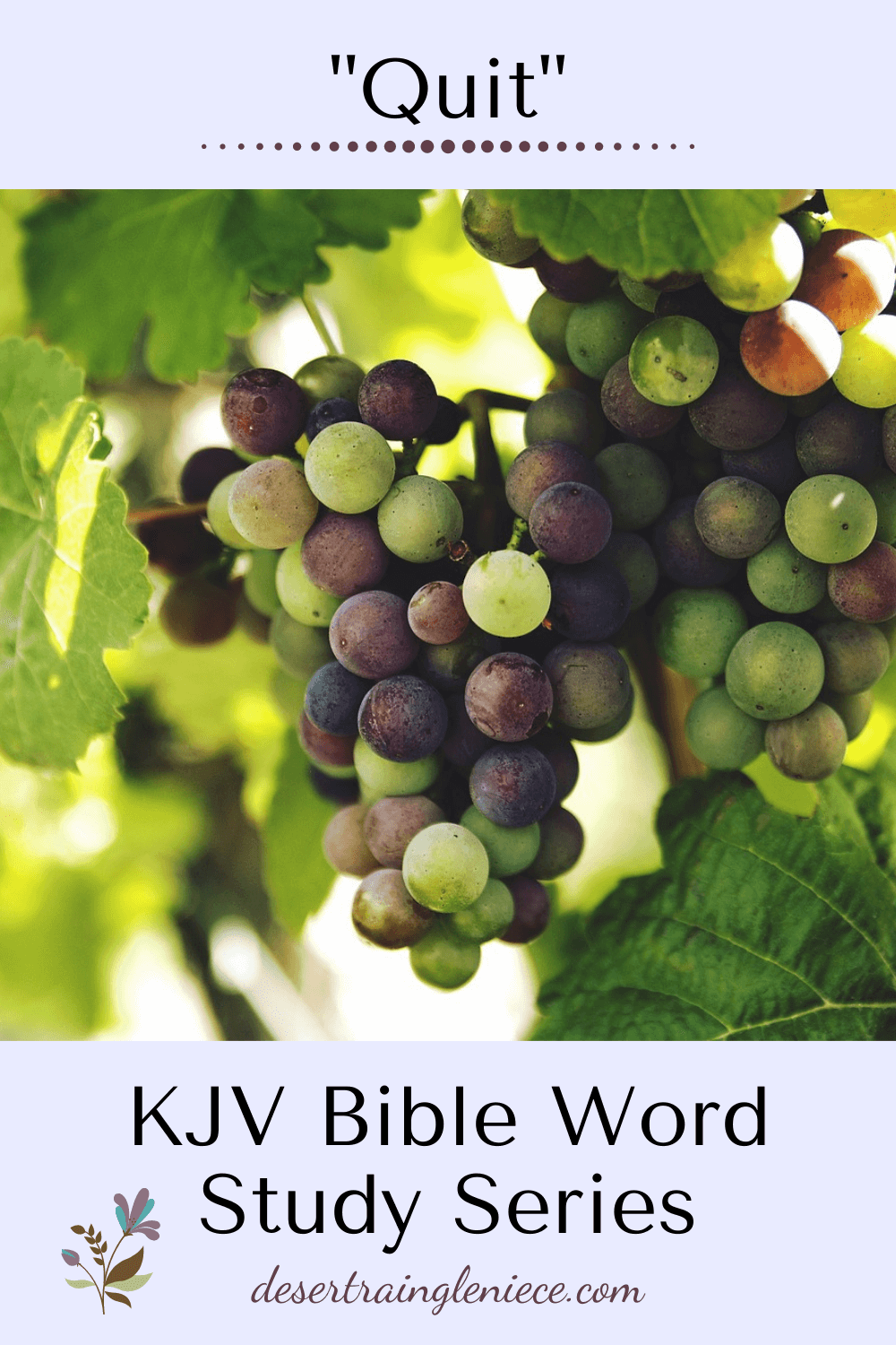 Does the phrase "quit you like men" from the KJV Bible cause you confusion? Well, you're not alone. Read more to find out what this really means. #quit, #kjvbible, #wordstudy, #biblestudyforwomen