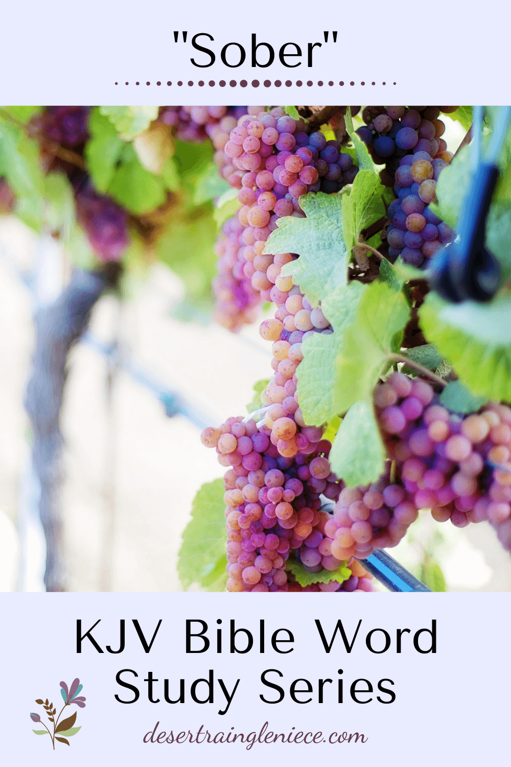 The word "sober" in the KJV Bible does not mean mere abstinence. Sober is a state of mind. Christians can drink alcohol and still be sober-minded. #sober, #kjvbible, #wordstudy, #biblestudyforwomen