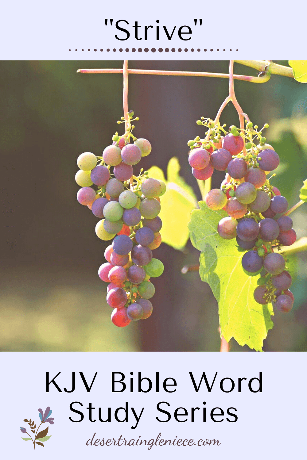 To strive or not to strive? As Christians, we are called to do both! Learn where to put your effort and where to let it go in this KJV study. #strive, #kjvbible, #wordstudy, #biblestudyforwomen